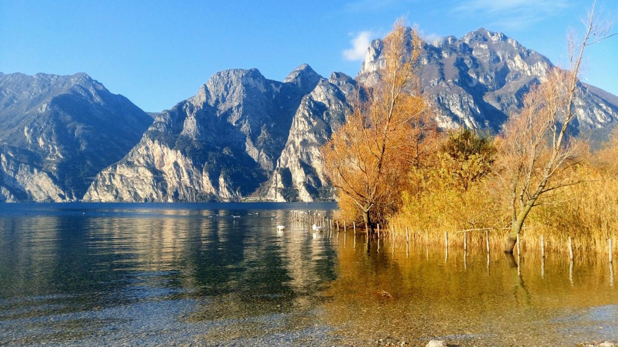 Casa Fiorella Torbole Sul Garda Esterno foto